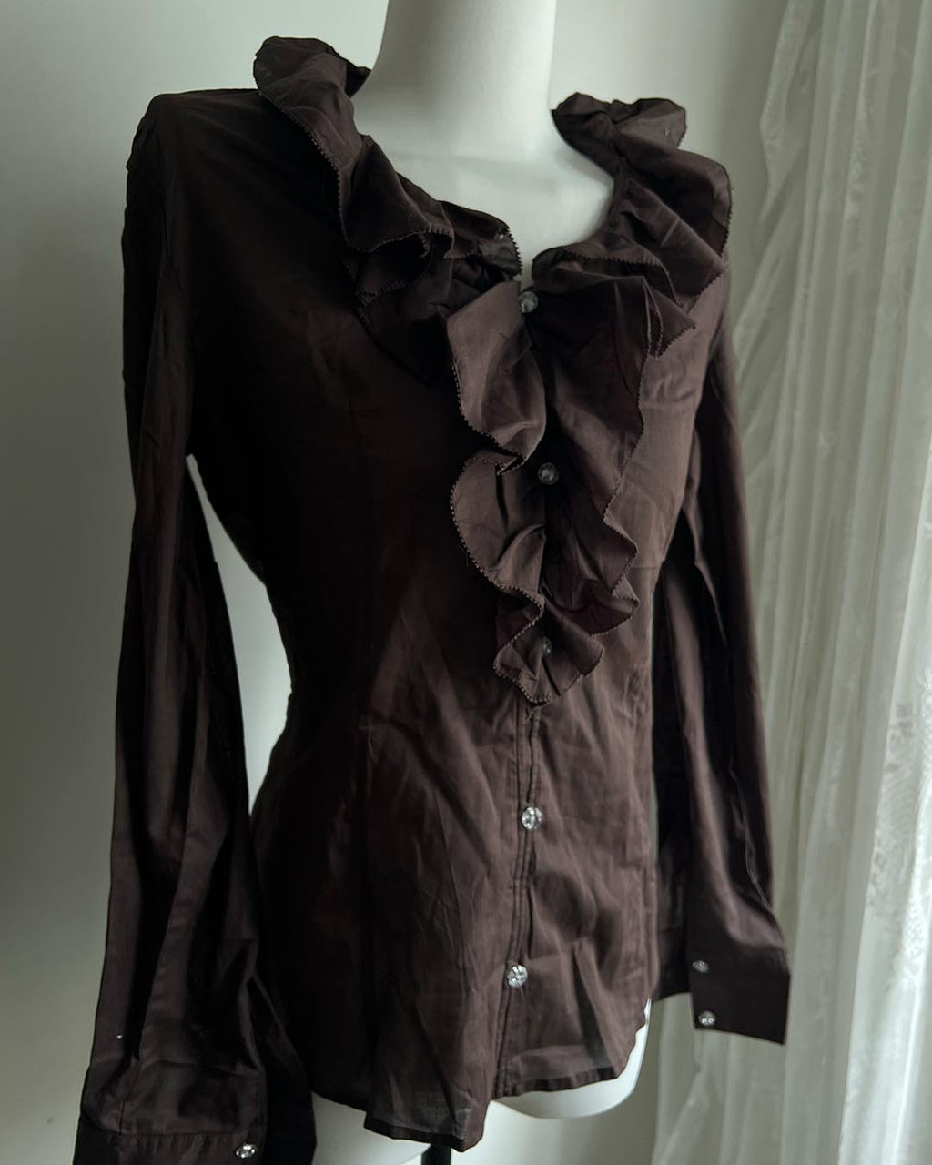 Ruffle Sheer Blouse